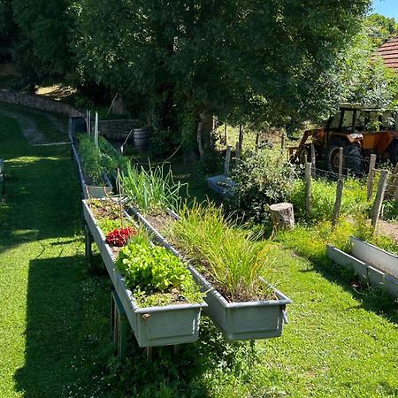 Casa Rural Roncesvalles Espinal-Auzperri Kültér fotó